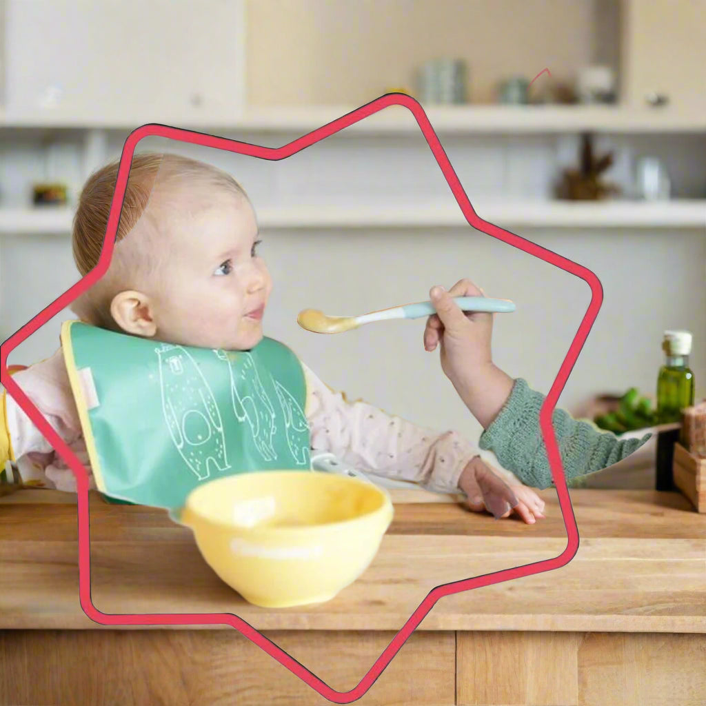 Set of Bowls for Baby Food Babymoov B005107-5