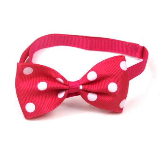 Polka Dot Bow Webbing Pet Accessories-0