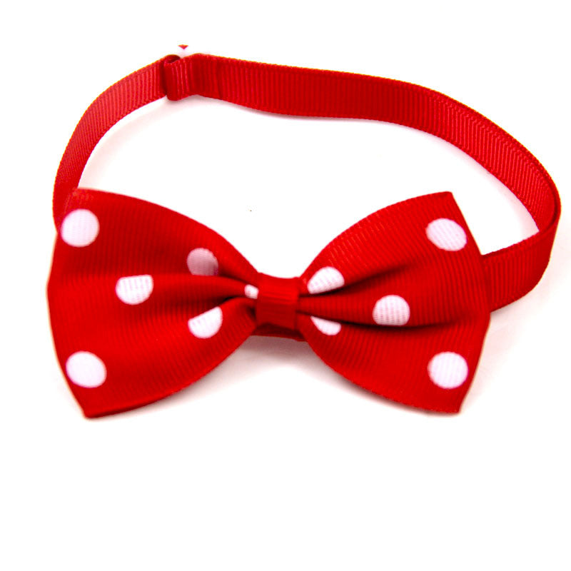Polka Dot Bow Webbing Pet Accessories-13
