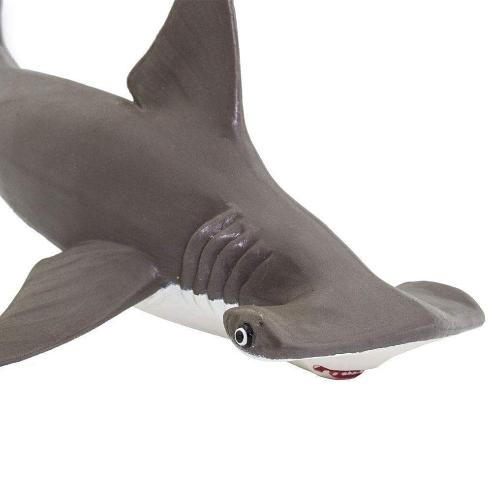 Hammerhead Shark Baby Toy-3